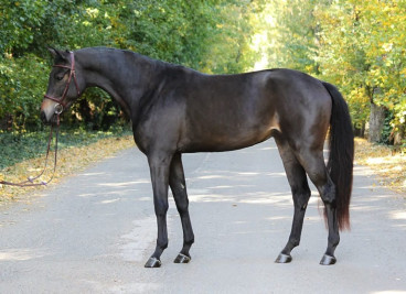 Rubina — Galeriebild