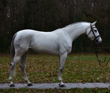 Coco — Galeriebild