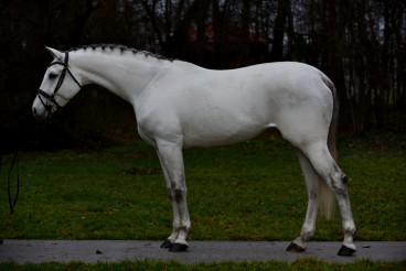 Coco — Galeriebild